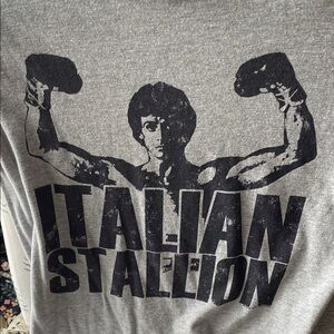 Italian Stallion Graphic Tee - Gray